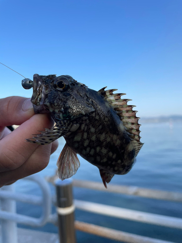 表浜名湖