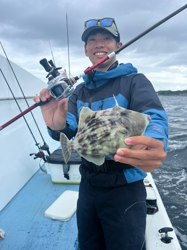 カワハギの釣果