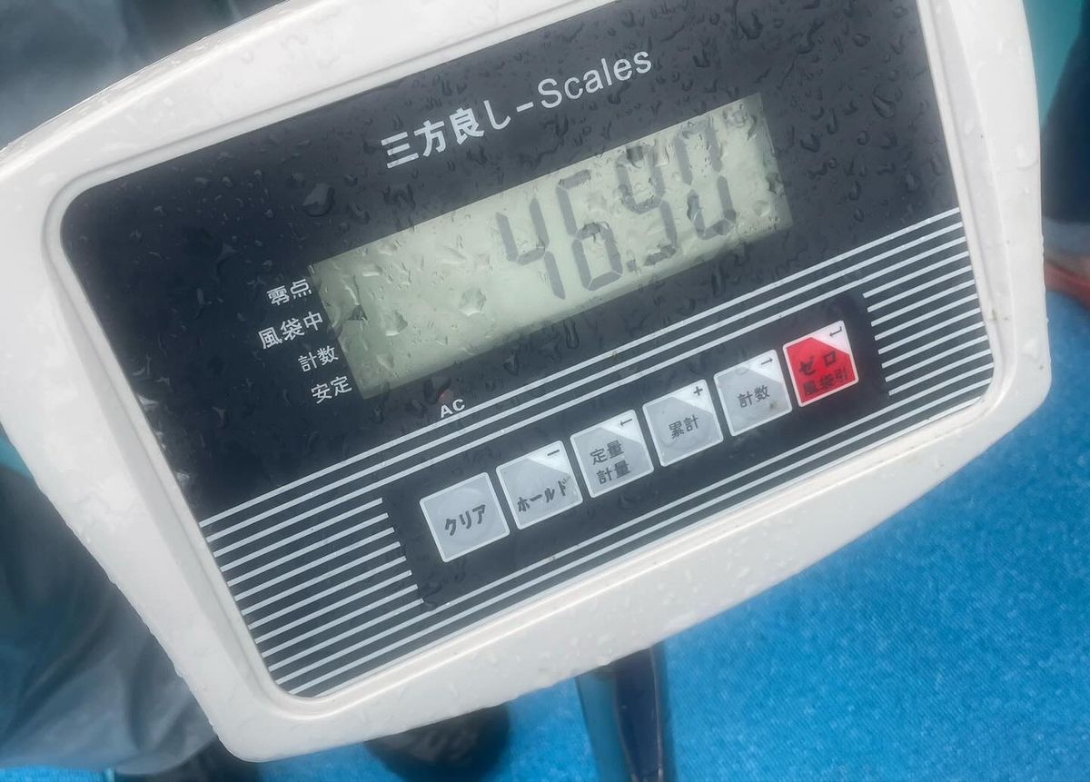 遠州鮃狩人さんの釣果 2枚目の画像