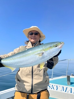 ハマチの釣果