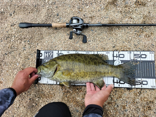 スモールマウスバスの釣果