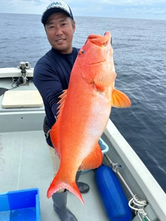 スジアラの釣果