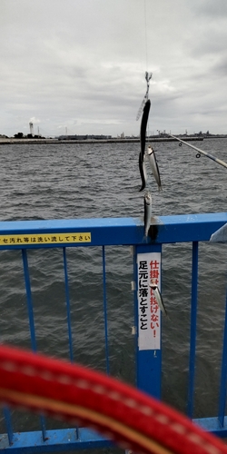 本牧海づり施設