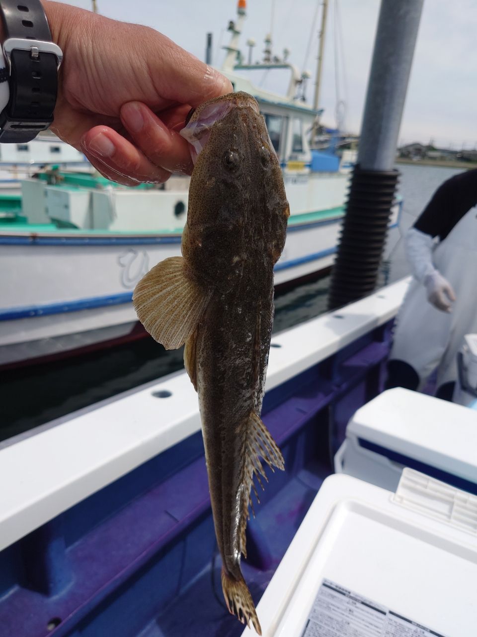 カワハギ太郎さんの釣果 2枚目の画像