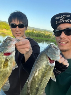 ブラックバスの釣果