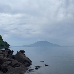 タイの釣果