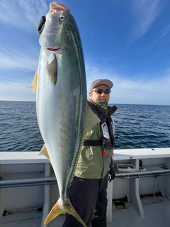 ワラサの釣果