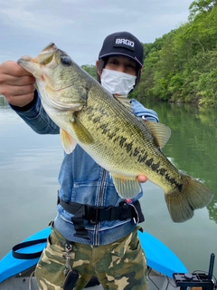 ブラックバスの釣果