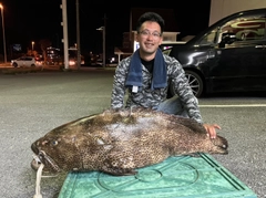 ヤイトハタの釣果