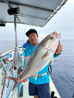 カンパチの釣果