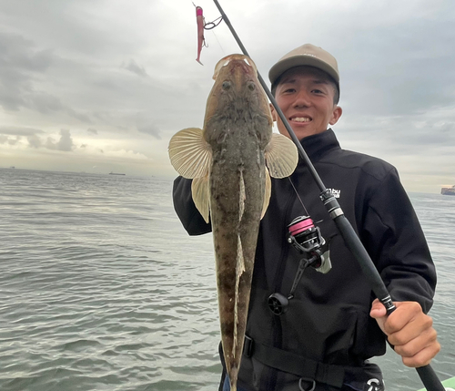 マゴチの釣果