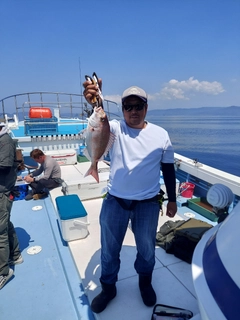 タイの釣果