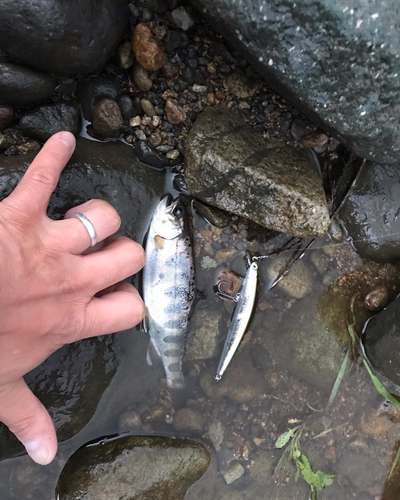 岐阜県北部