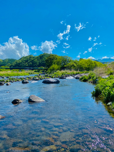 イワナの釣果