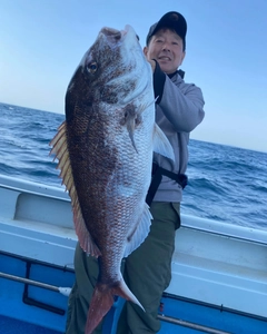 タイの釣果