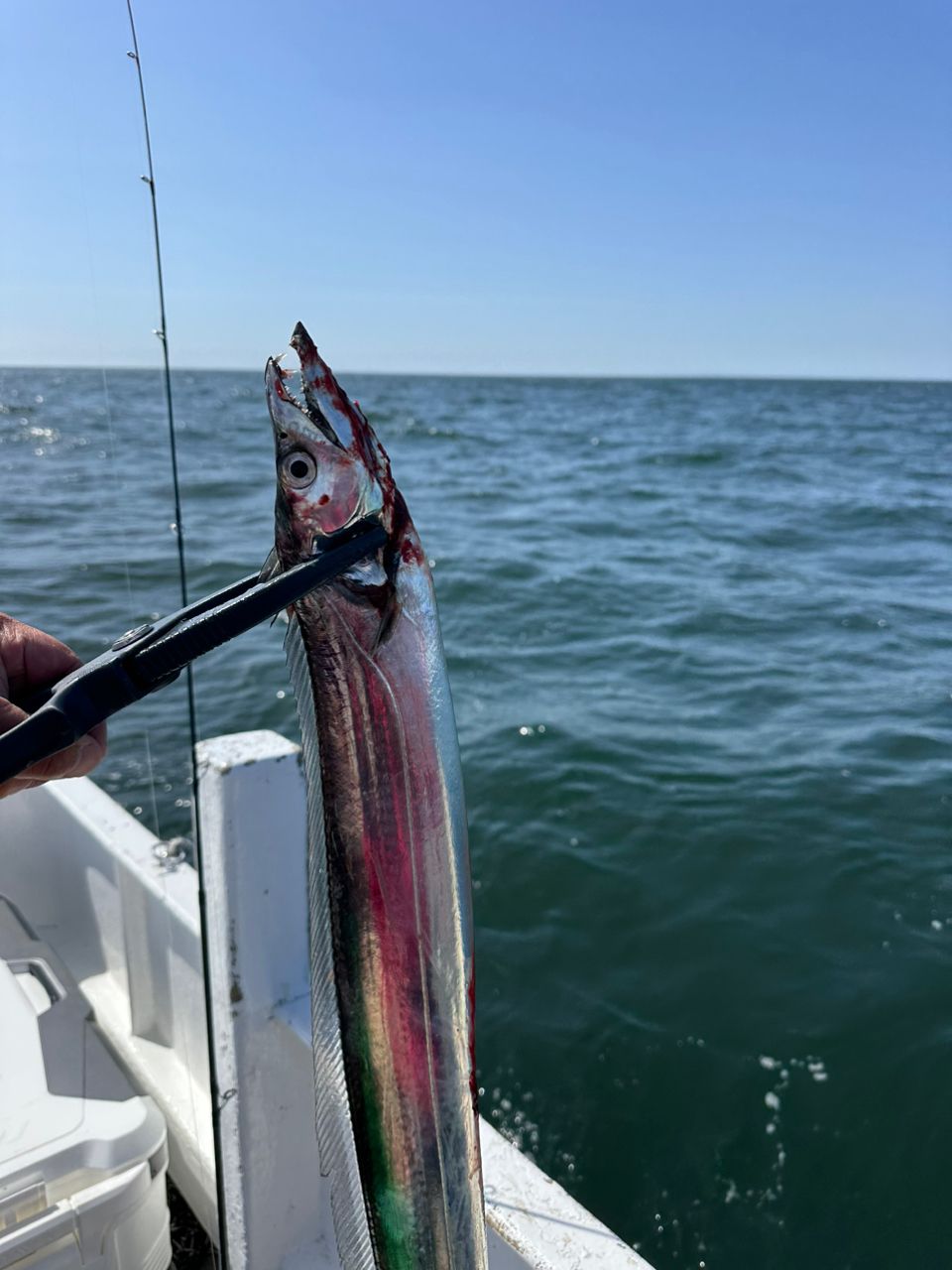 ☆沙乃○☆さんの釣果 2枚目の画像