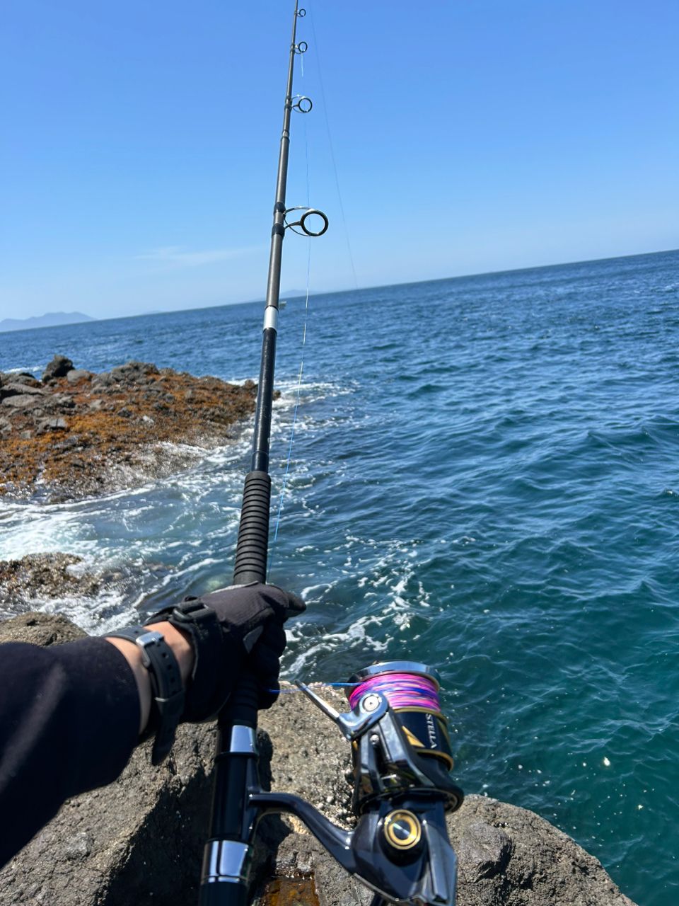 めんたいさんの釣果 2枚目の画像