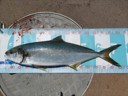 新地町海釣り公園