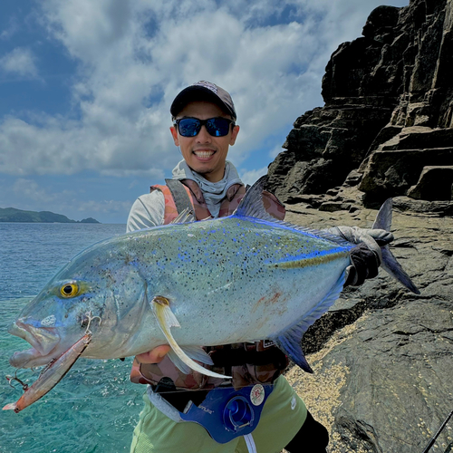 カスミアジの釣果