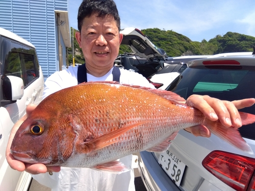 マダイの釣果