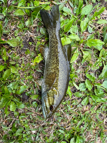 長野県北部