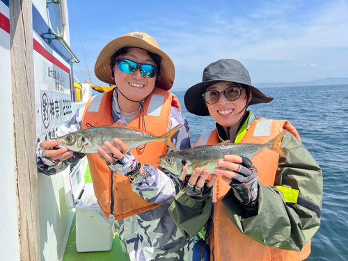 マアジの釣果