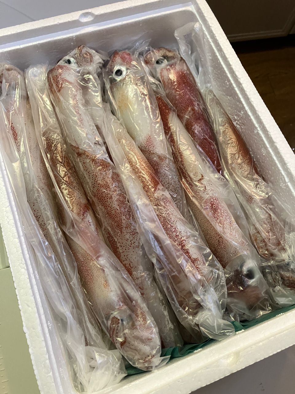 釣KATSUさんの釣果 3枚目の画像