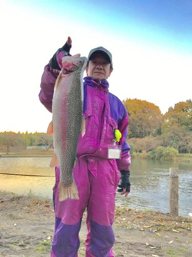 ヤシオマスの釣果