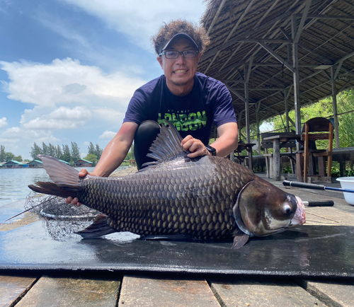 パーカーホの釣果