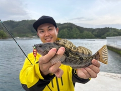 アイナメの釣果