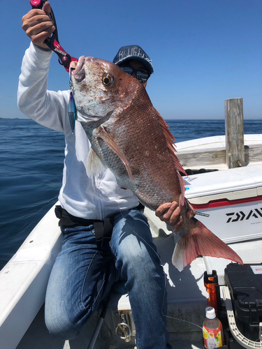 タイの釣果