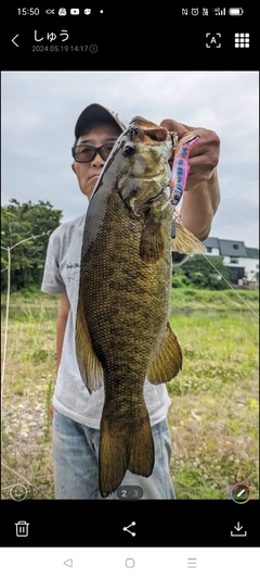 スモールマウスバスの釣果