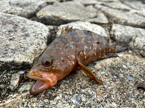 越前海岸