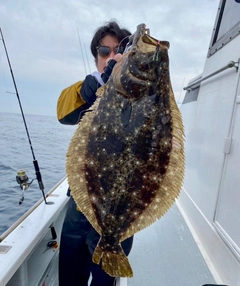ヒラメの釣果