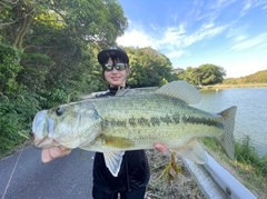 ブラックバスの釣果