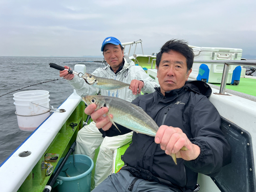 マアジの釣果