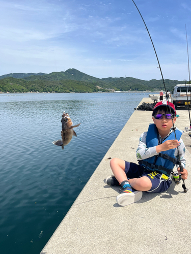 クロメバルの釣果