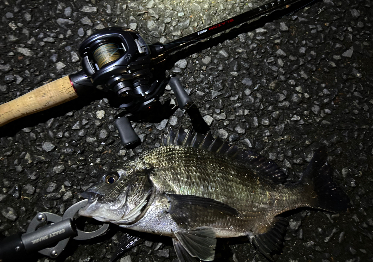 DAIWA 20ブレイゾン モバイル 666TMBの最安値・インプレ・釣果