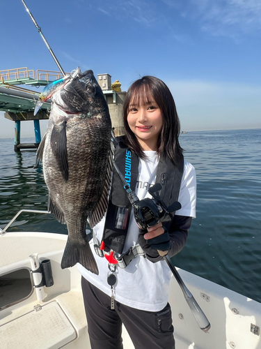 チヌの釣果