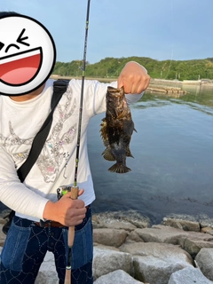 タケノコメバルの釣果