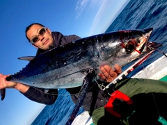 ビンチョウマグロの釣果