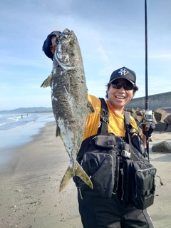 イナダの釣果