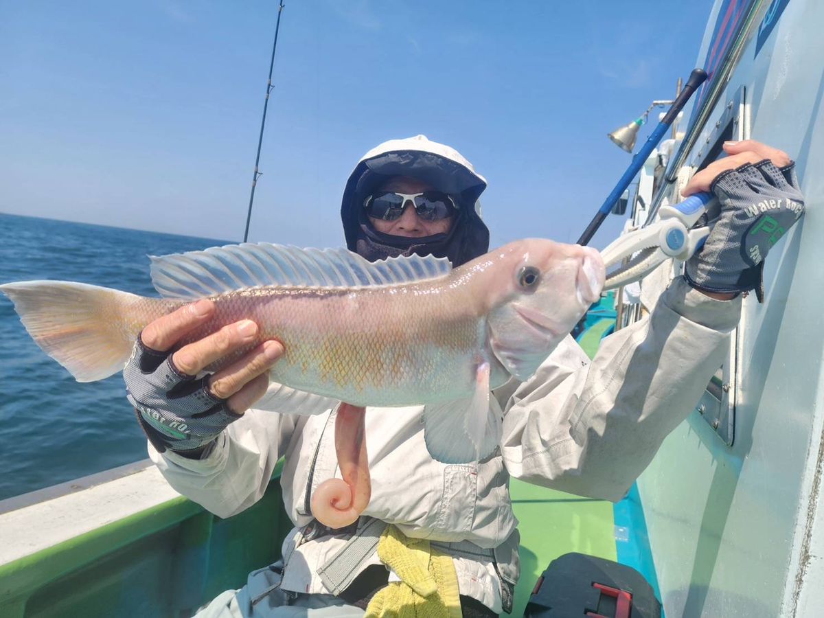 清和丸さんの釣果 3枚目の画像