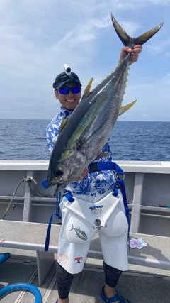 キハダマグロの釣果