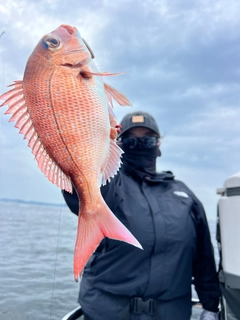 タイの釣果