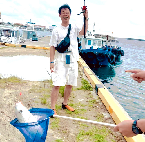 シロダイの釣果