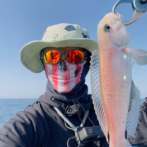 シロアマダイの釣果