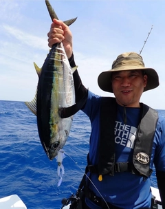 メバチマグロの釣果