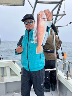 シロアマダイの釣果