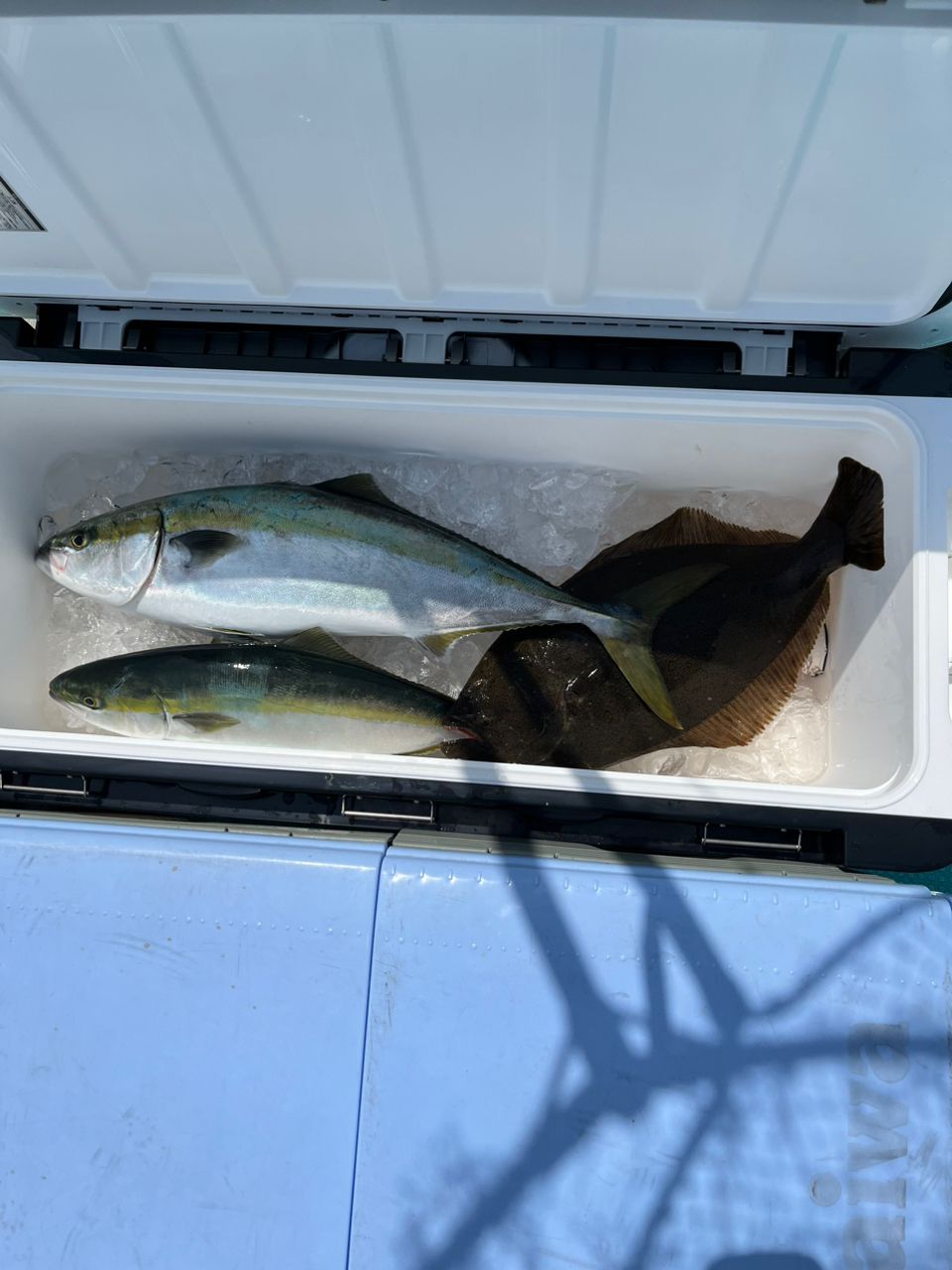 素敵な叔父様さんの釣果 2枚目の画像